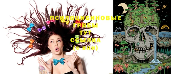 марки nbome Козельск