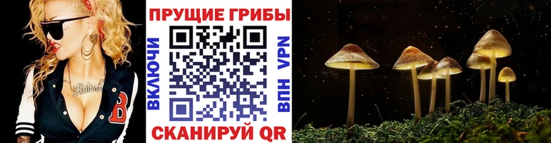 Псилоцибиновые грибы GOLDEN TEACHER  Ульяновск 