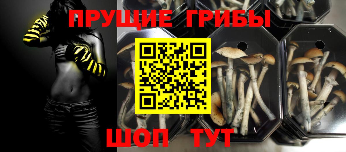 Галлюциногенные грибы мицелий  Вход с VPN  Ульяновск 